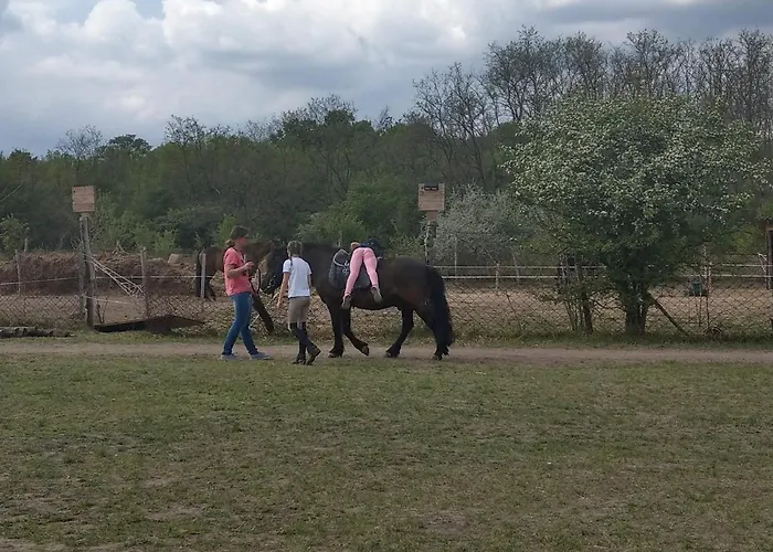 Prázdninový dům Lilihome Gárdony